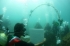 >Необычная свадьба под водой