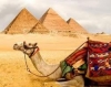 Поиск тура в Египет – доверьтесь профессионалам