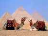 Египет - цены на туры